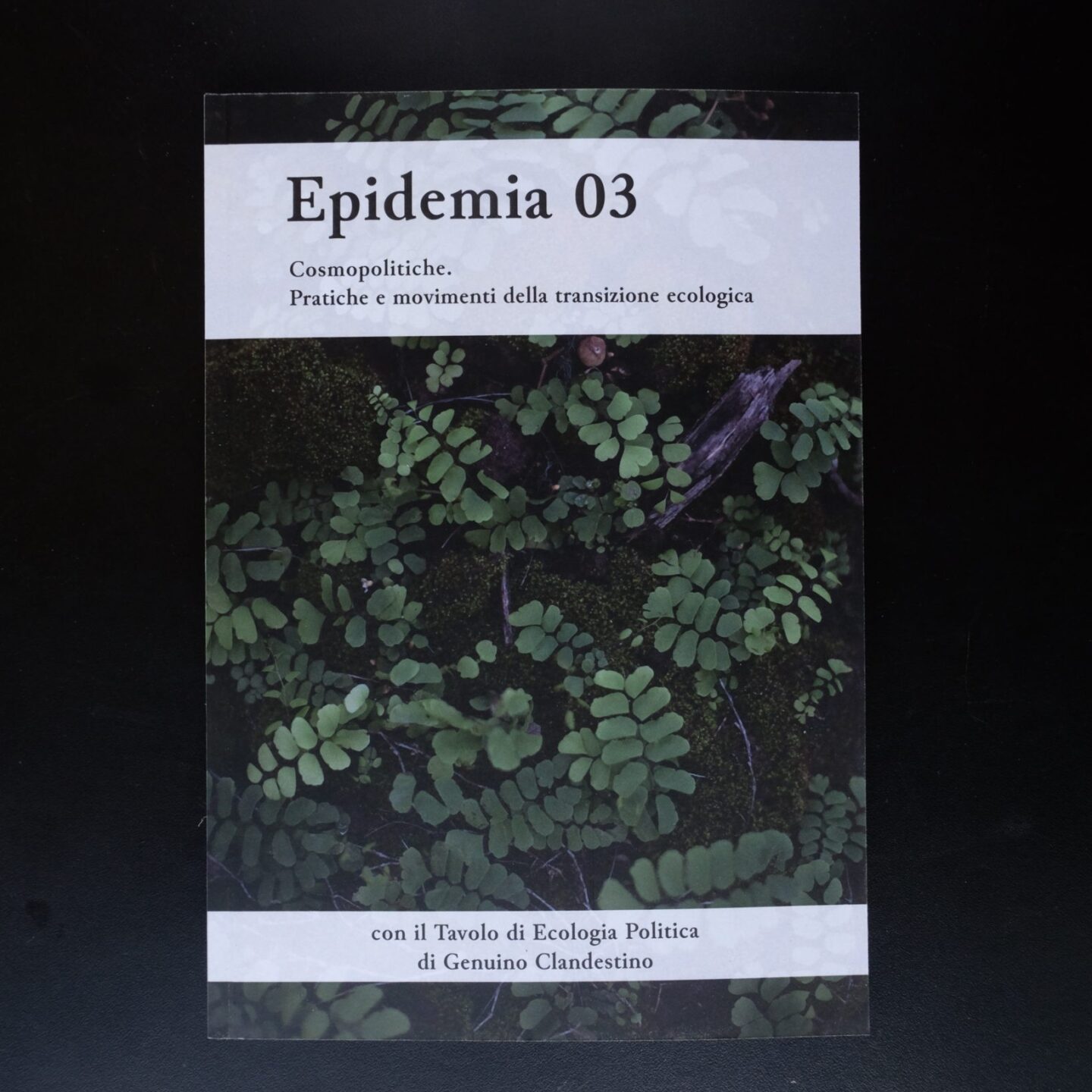 Epidemia 03