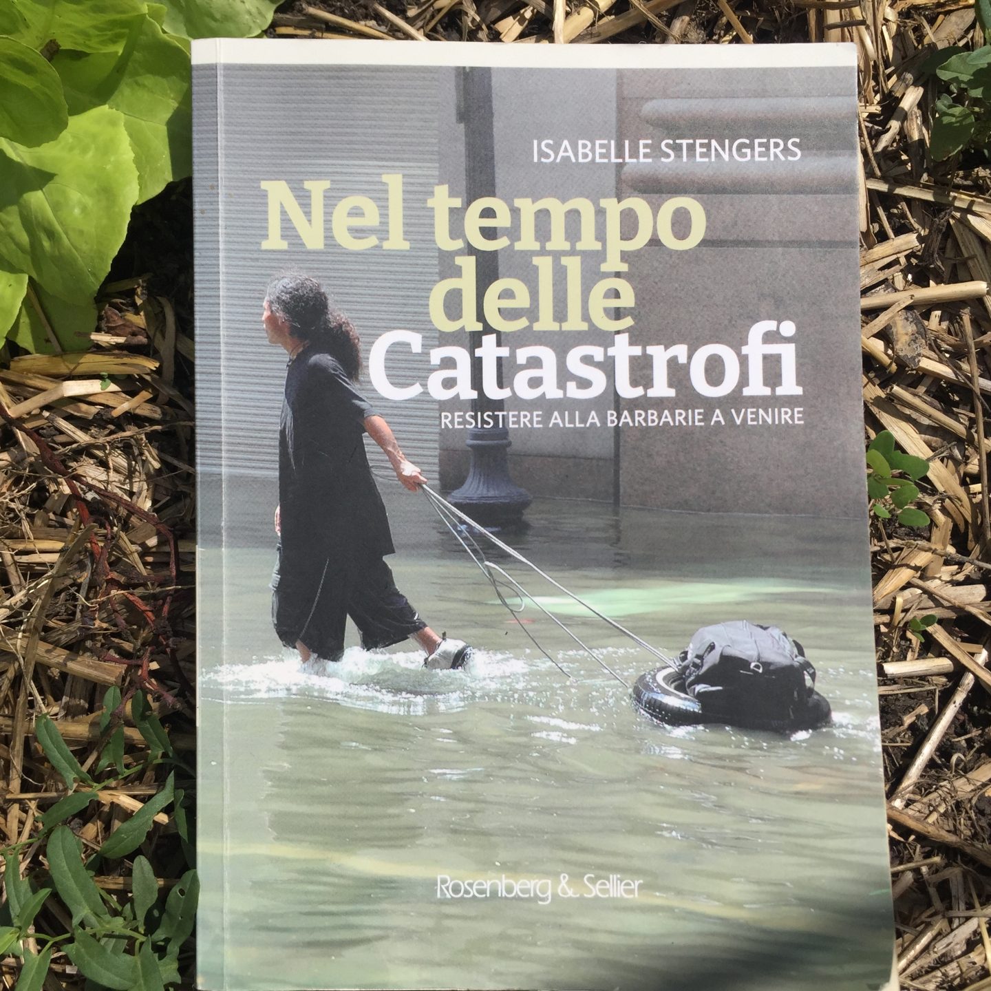 “Nel tempo delle Catastrofi. Resistere alle barbarie a venire” Isabelle Stengers, a cura di Nicola Manghi, Rosenberg & Sellier, 2021.